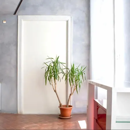 Domus Vivenda Lägenhet